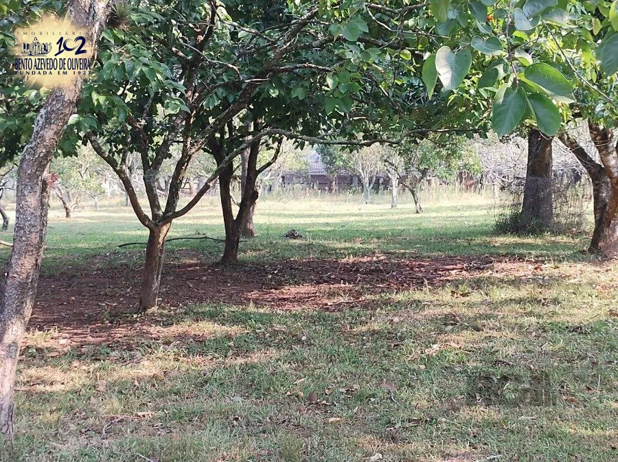 Chácara, 5 quartos, 2800 hectares - Foto 9