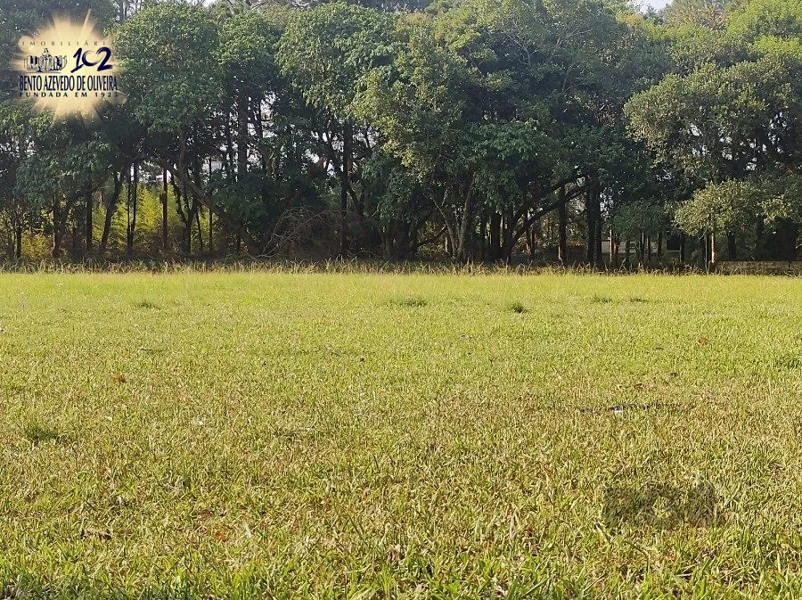 Chácara, 5 quartos, 2800 hectares - Foto 20