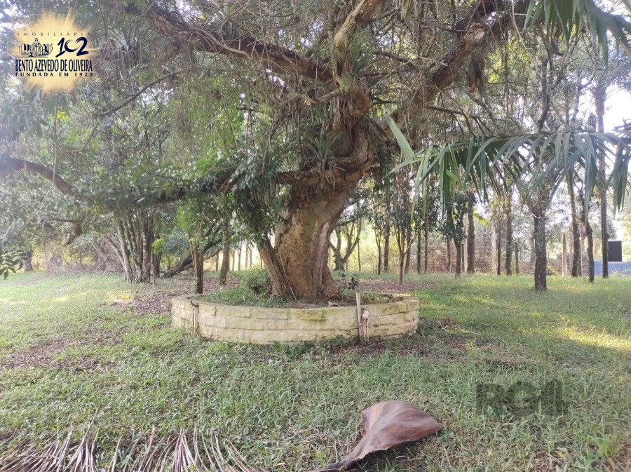 Chácara, 5 quartos, 2800 hectares - Foto 35