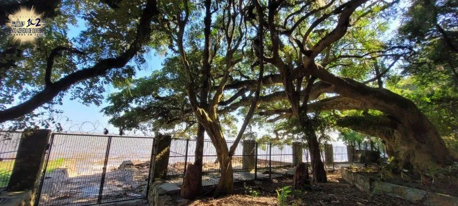Casa, 4 quartos, 500 m² - Foto 62