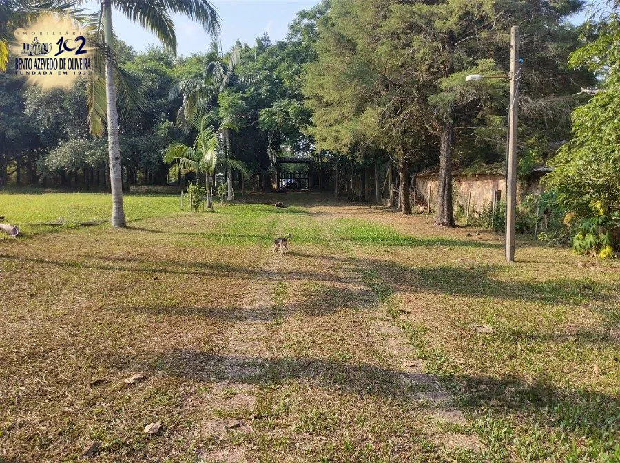 Chácara, 5 quartos, 2800 hectares - Foto 36