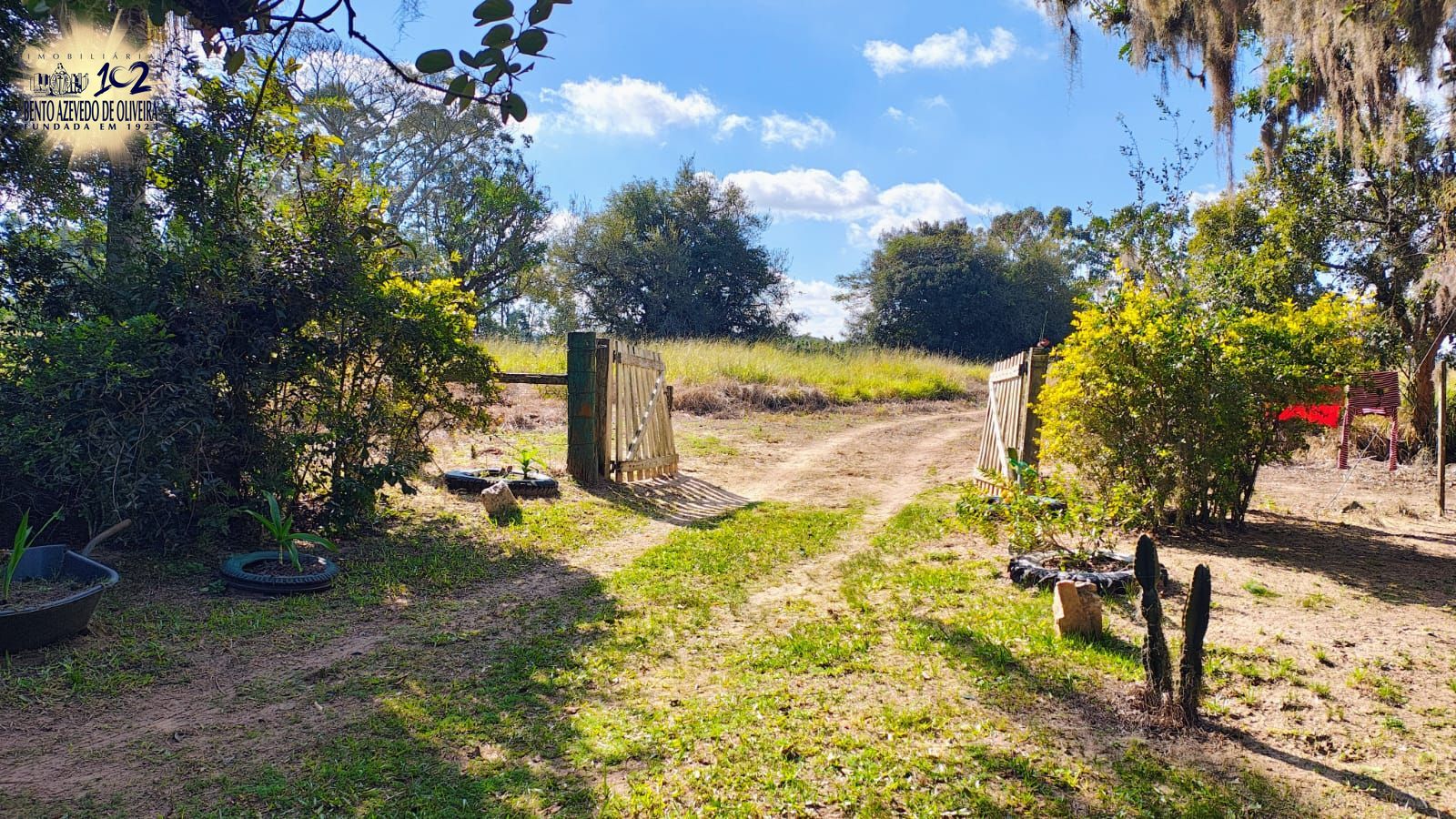 Fazenda, 28 hectares - Foto 6