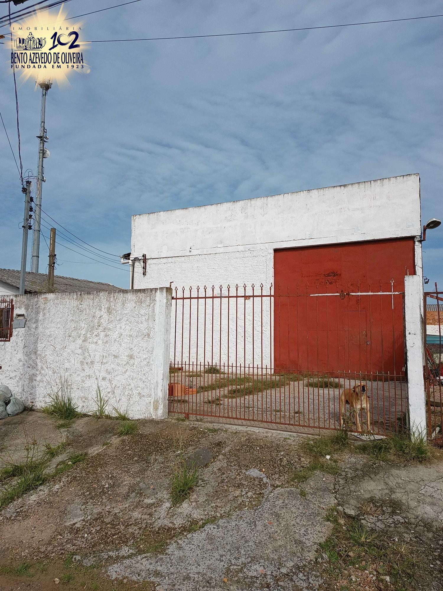 Depósito-Galpão - Foto 1