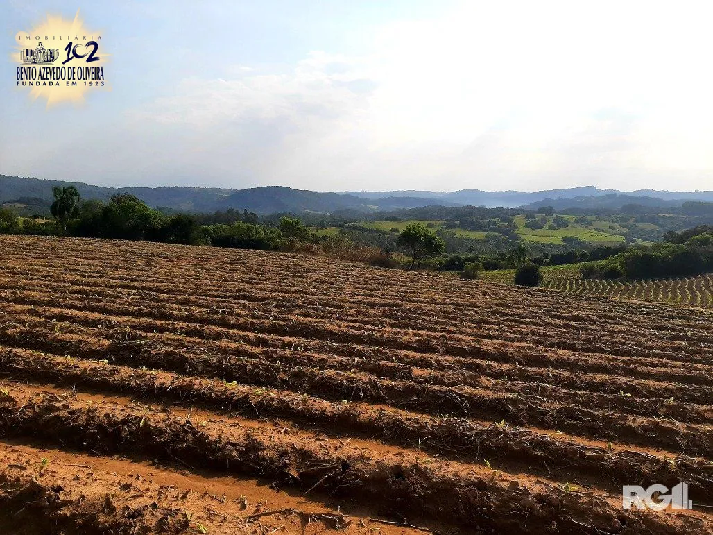 Terreno, 12 hectares - Foto 4