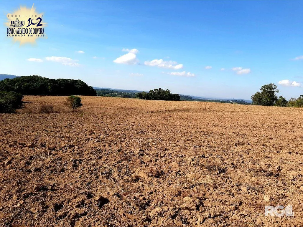 Terreno, 12 hectares - Foto 15