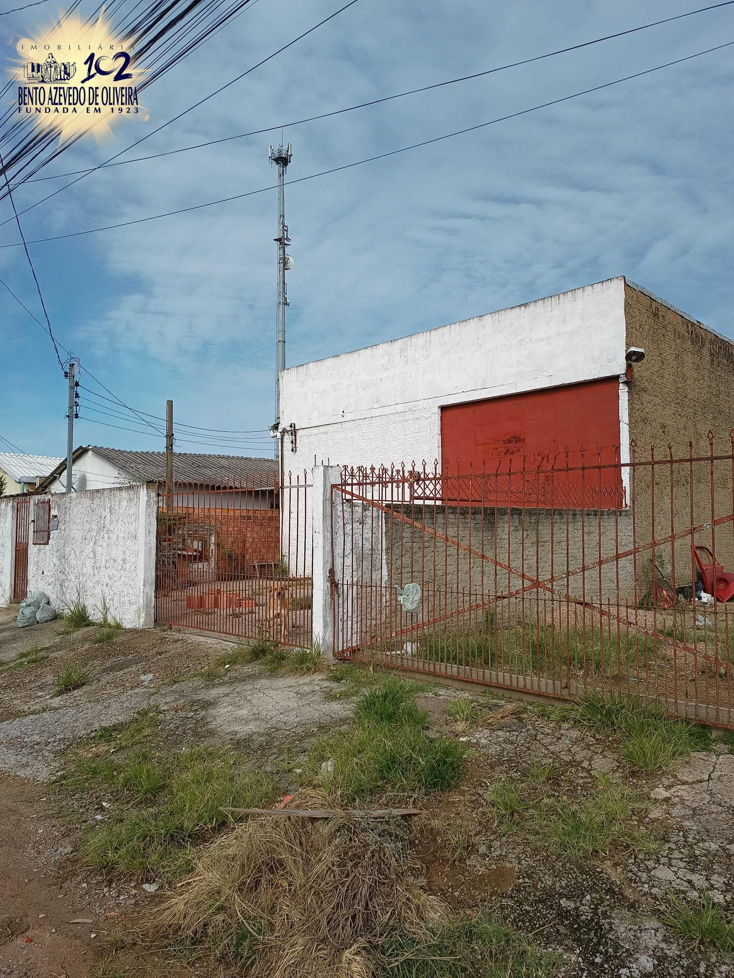Depósito-Galpão - Foto 12