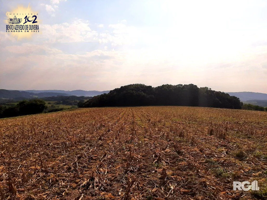 Terreno, 12 hectares - Foto 3