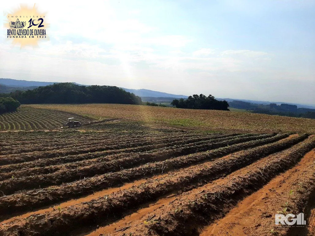 Terreno, 12 hectares - Foto 2