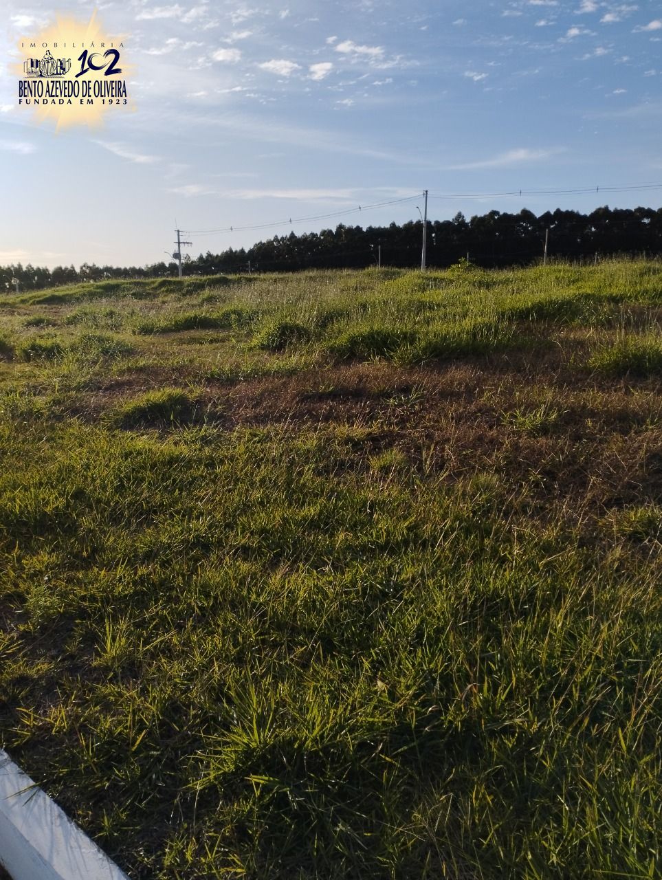 Terreno, 220 m² - Foto 5