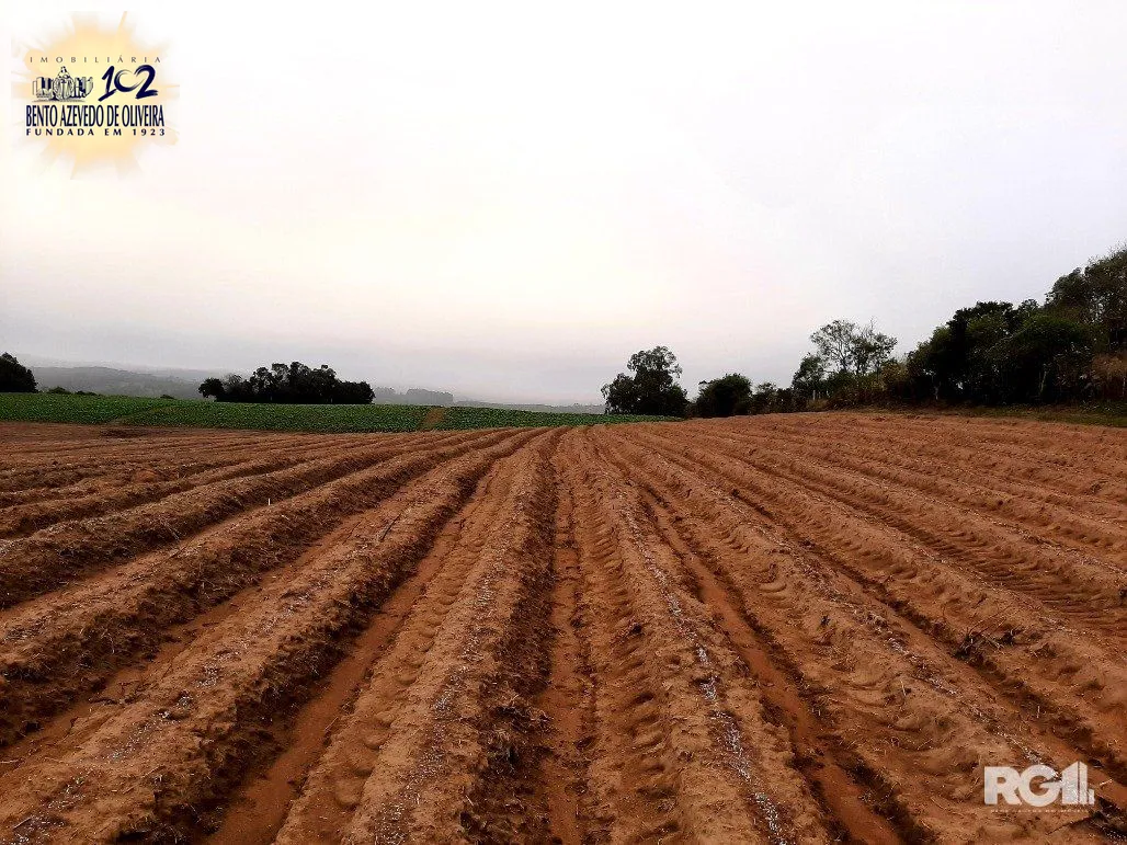Terreno, 12 hectares - Foto 13