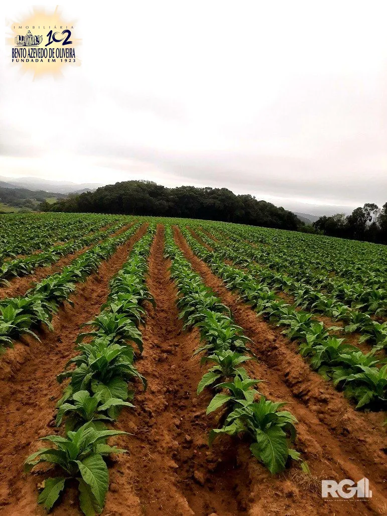 Terreno, 12 hectares - Foto 9