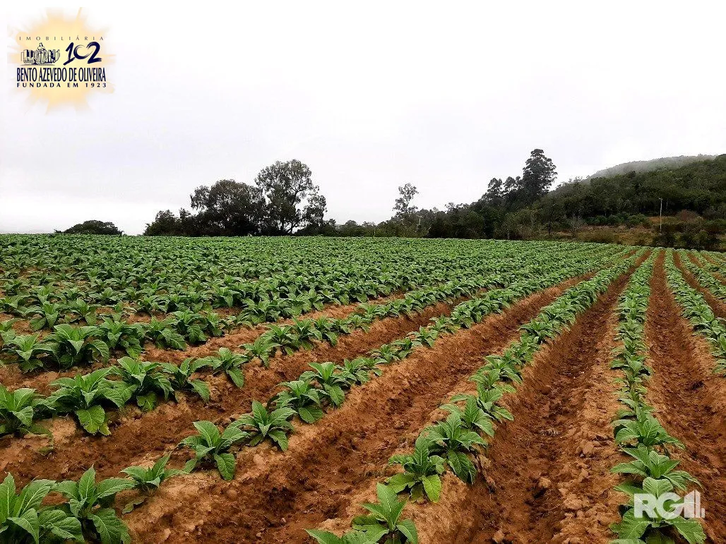 Terreno, 12 hectares - Foto 10