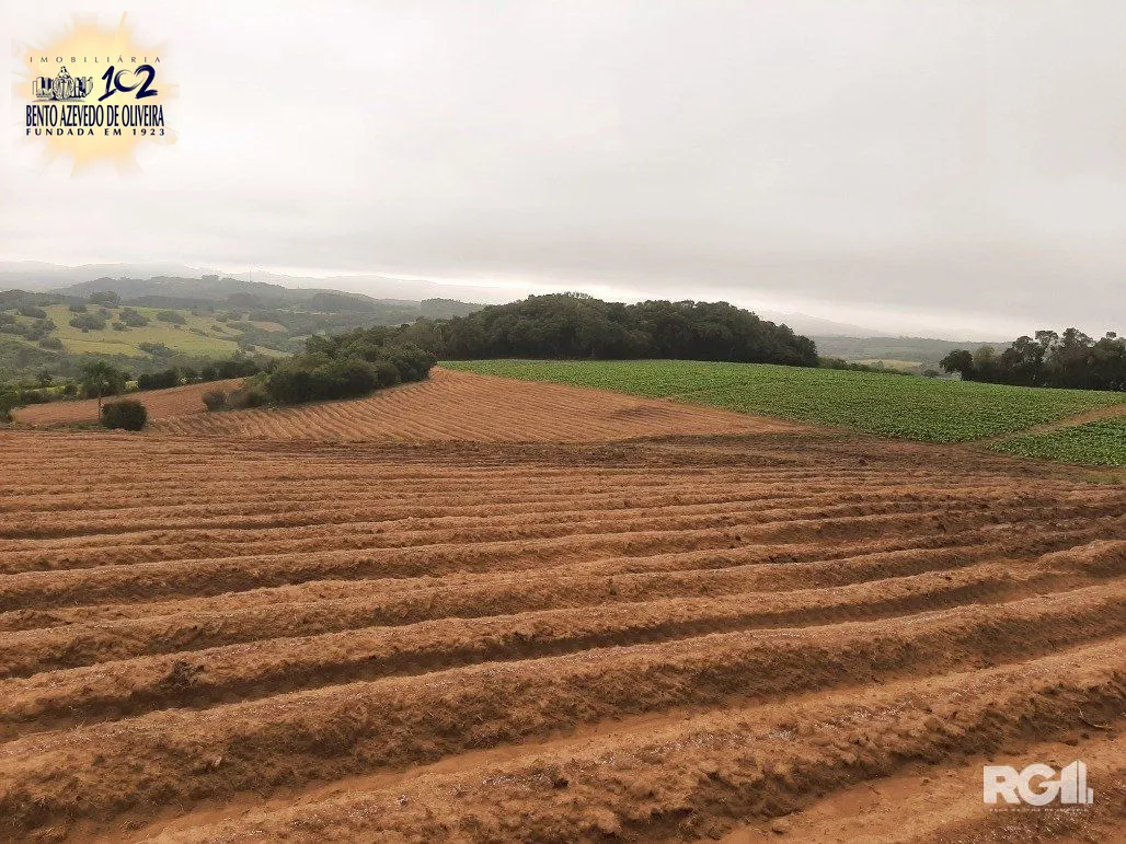 Terreno, 12 hectares - Foto 8