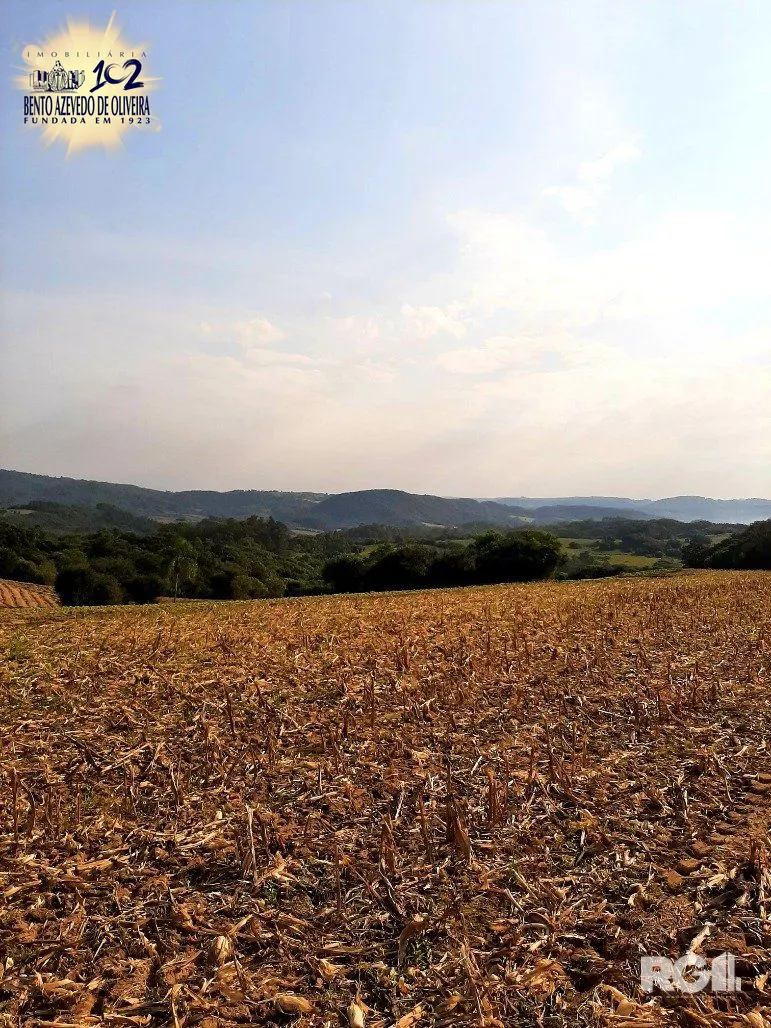 Terreno, 12 hectares - Foto 6