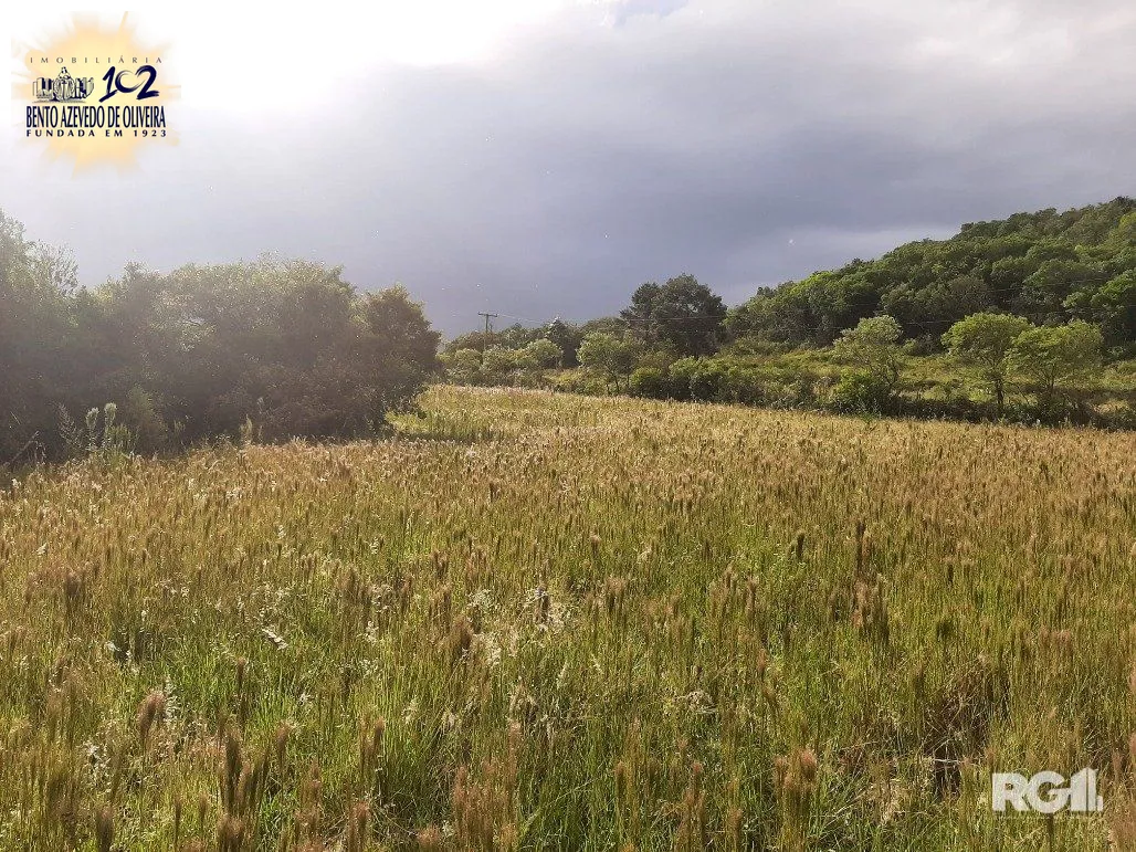 Terreno, 12 hectares - Foto 14