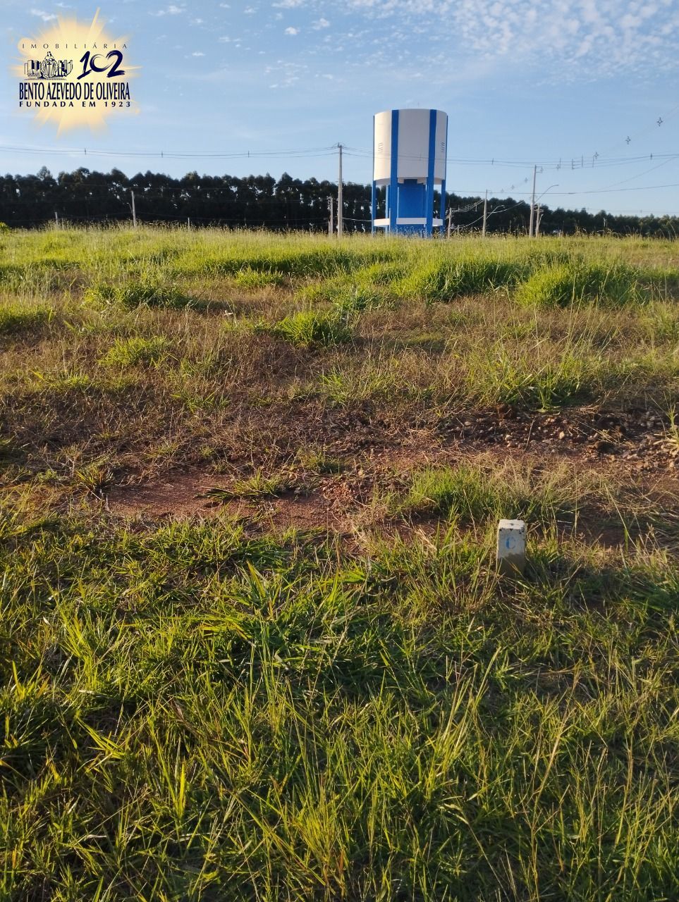 Terreno, 220 m² - Foto 6