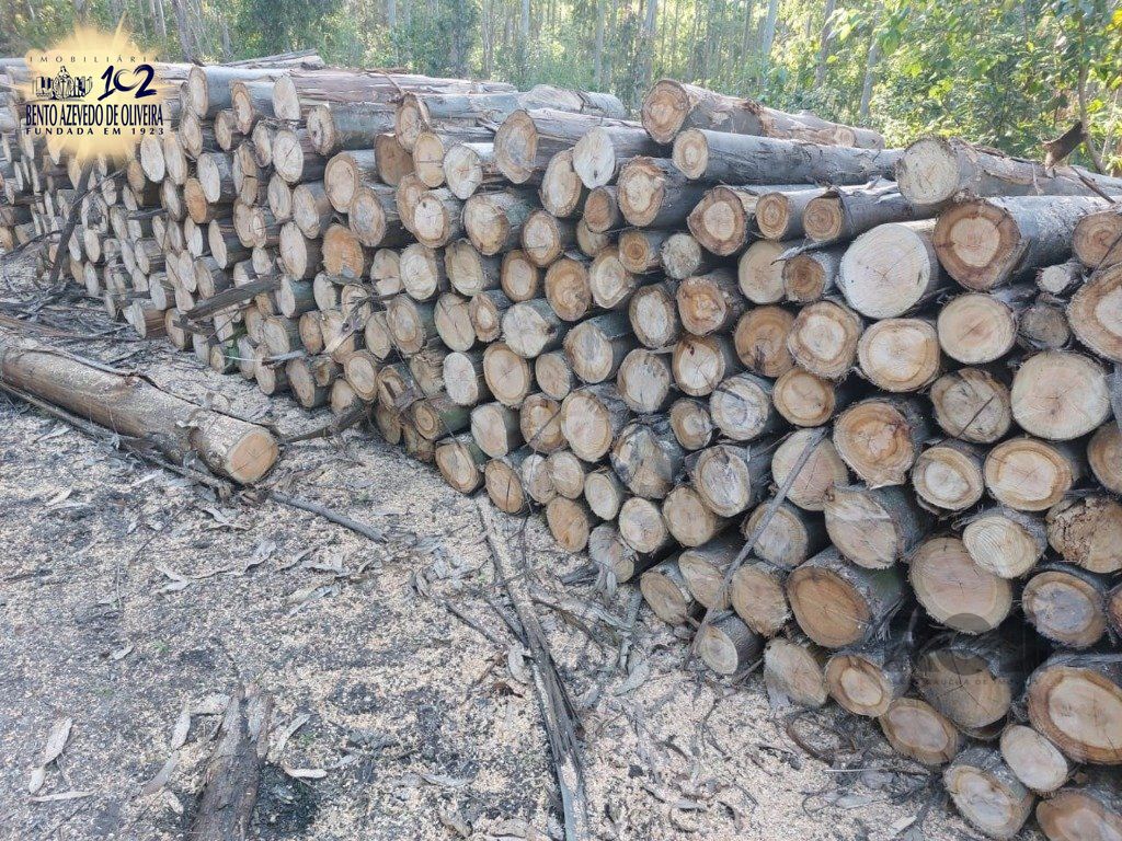 Fazenda, 42 hectares - Foto 26
