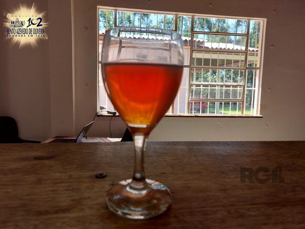 Fazenda, 42 hectares - Foto 19