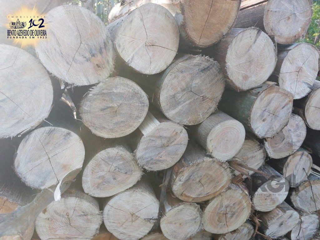 Fazenda, 42 hectares - Foto 41