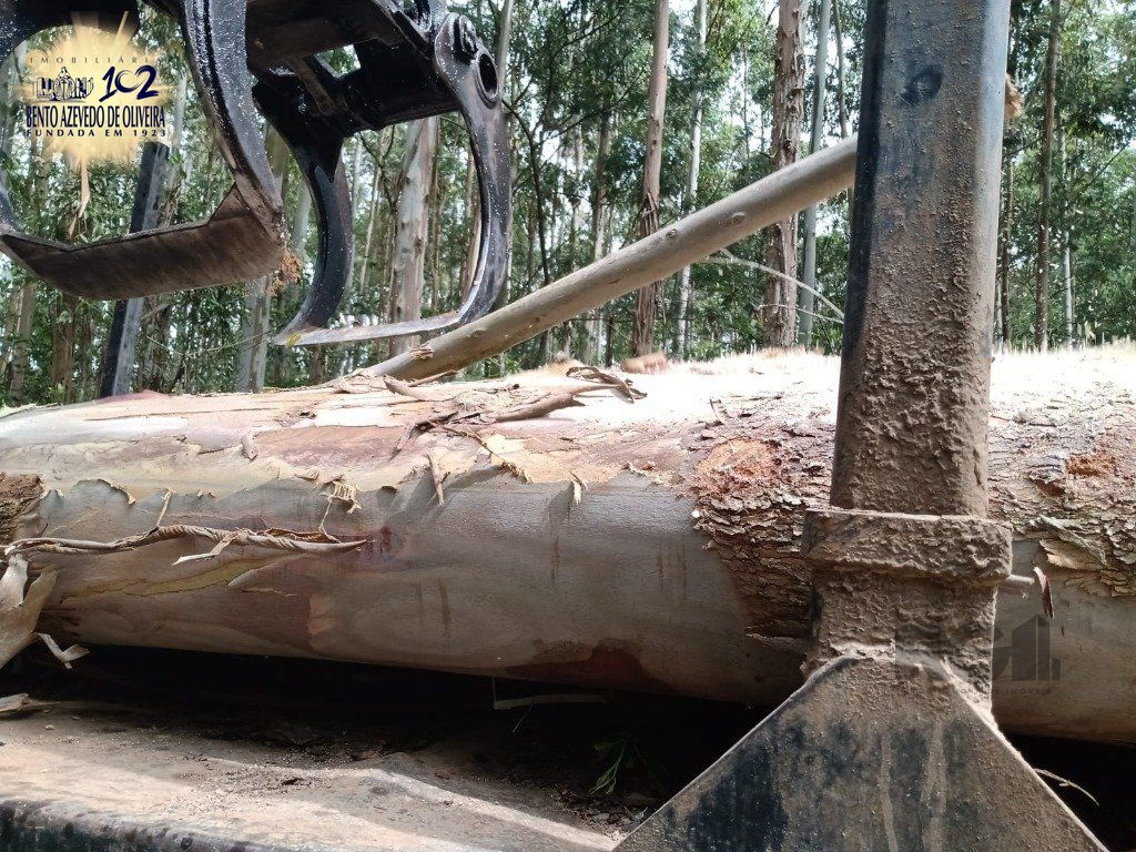 Fazenda, 42 hectares - Foto 11