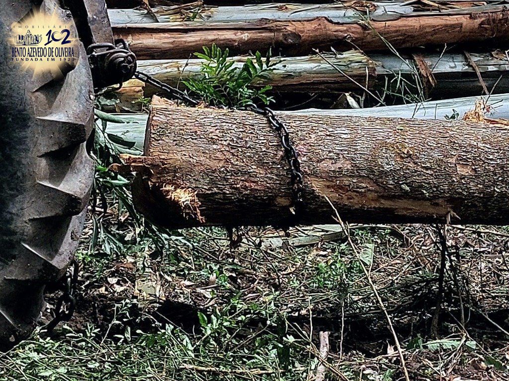 Fazenda, 42 hectares - Foto 8