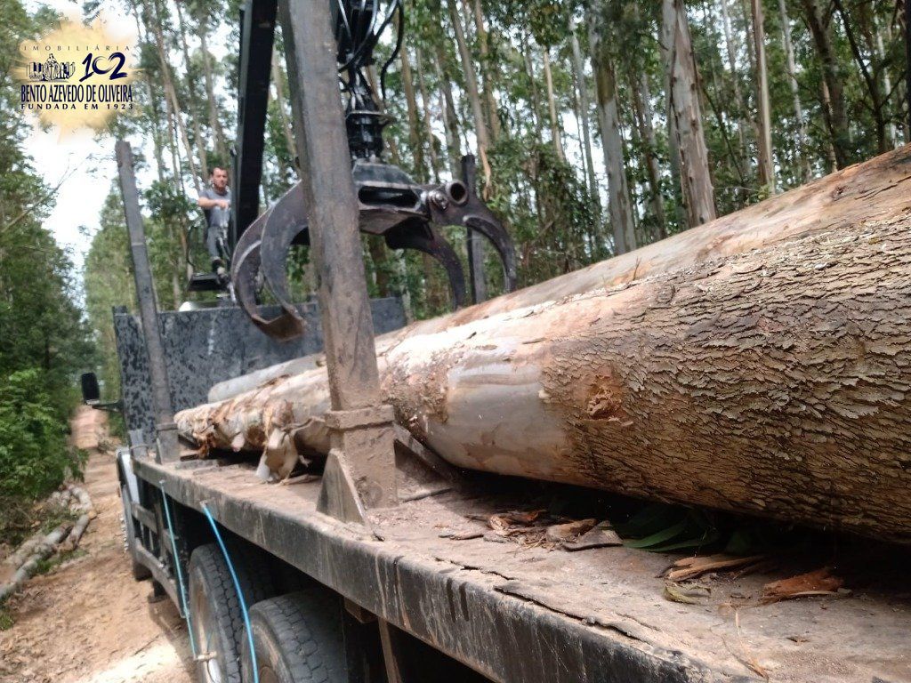 Fazenda, 42 hectares - Foto 63