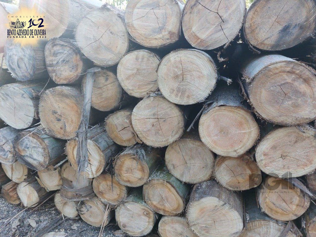 Fazenda, 42 hectares - Foto 12