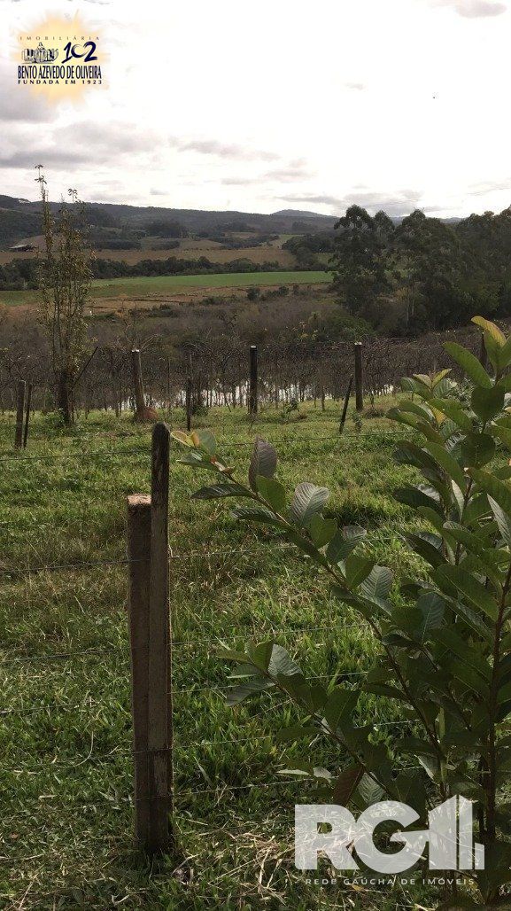 Chácara, 2 quartos, 22 hectares - Foto 7