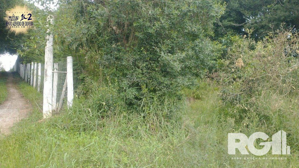 Terreno, 315 m² - Foto 7