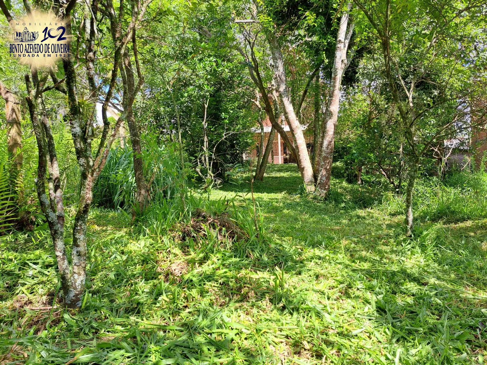 Casa, 4 quartos, 200 m² - Foto 34