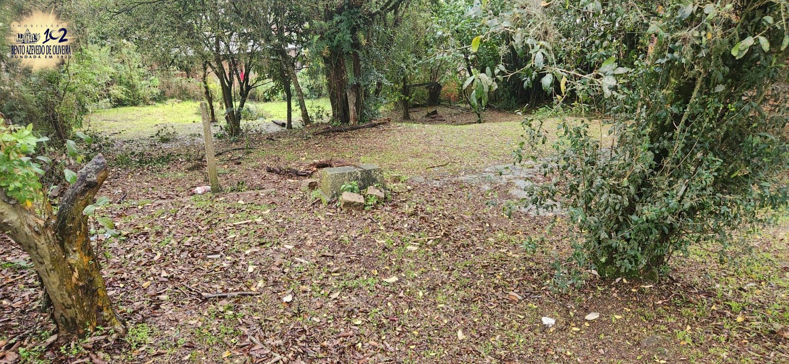 Terreno, 1600 m² - Foto 10