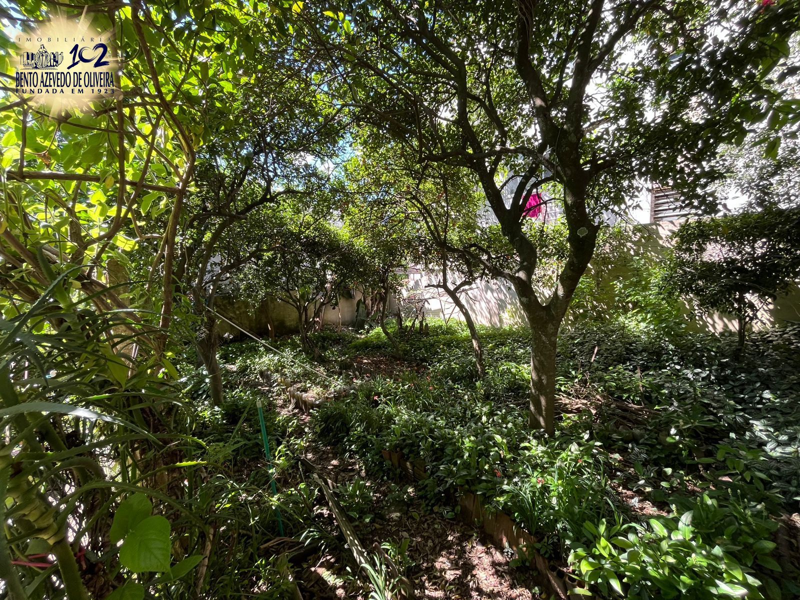 Casa, 6 quartos, 300 m² - Foto 37