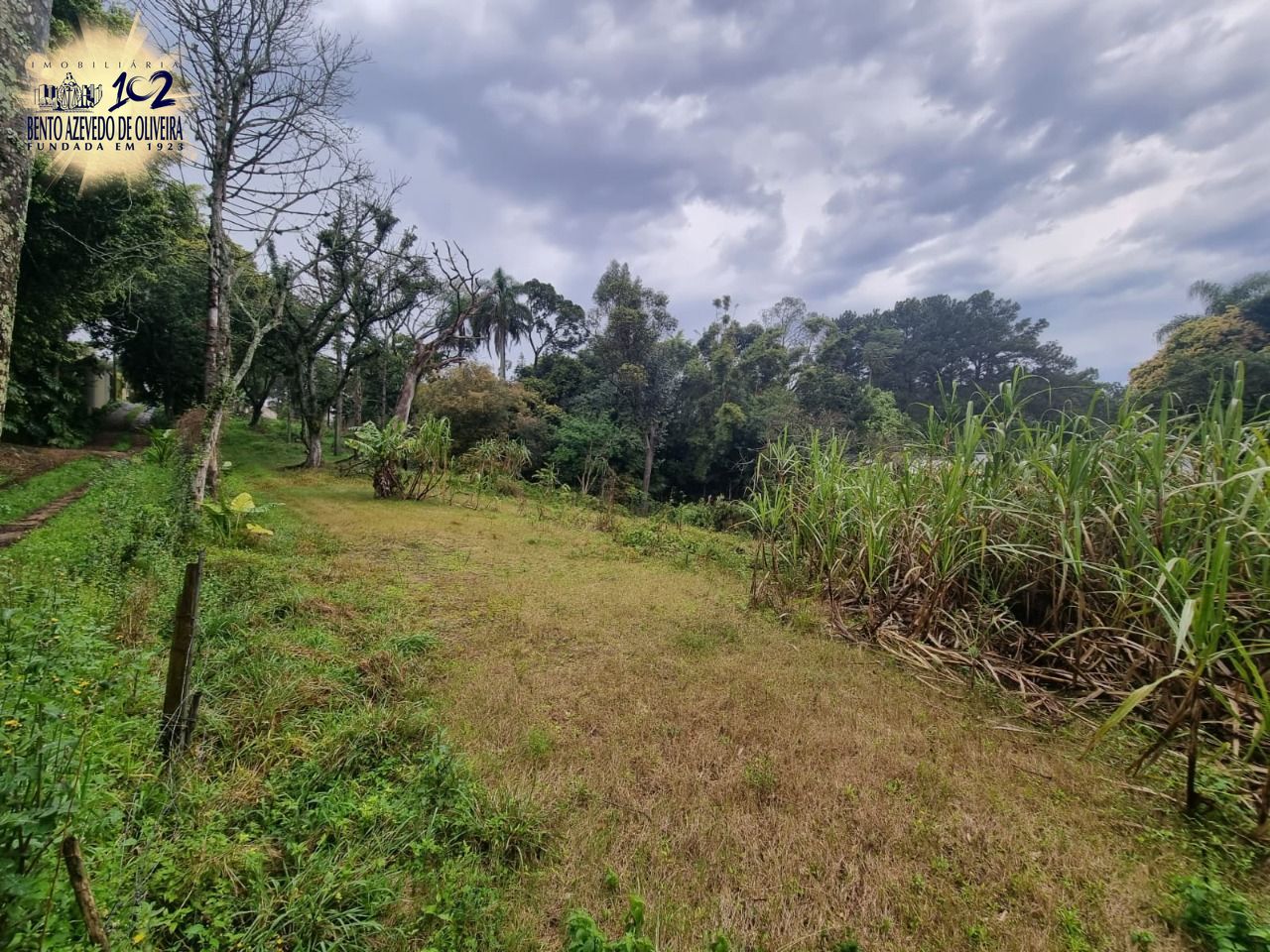 Terreno, 4452 m² - Foto 3