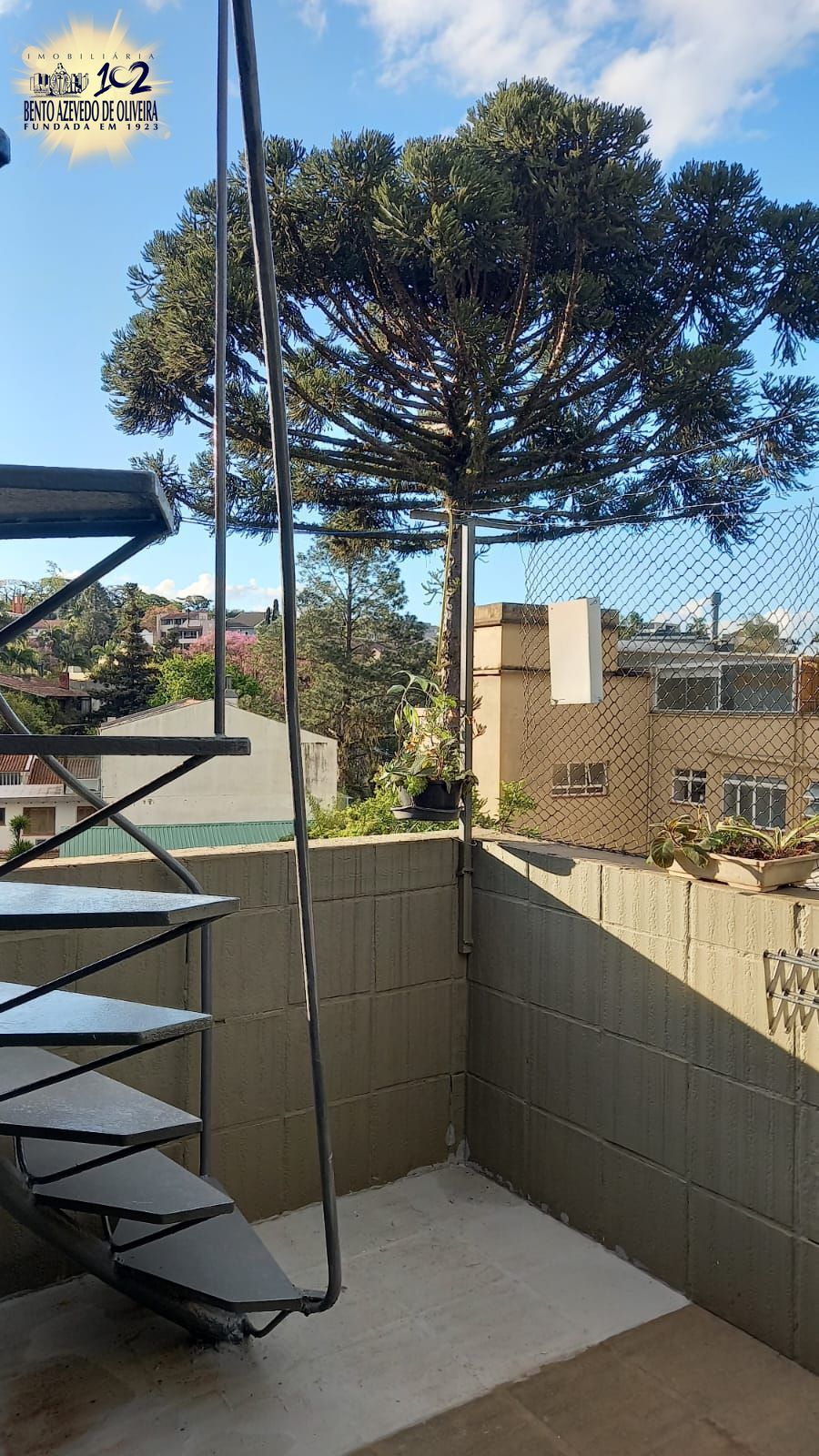 Casa, 5 quartos, 360 m² - Foto 14