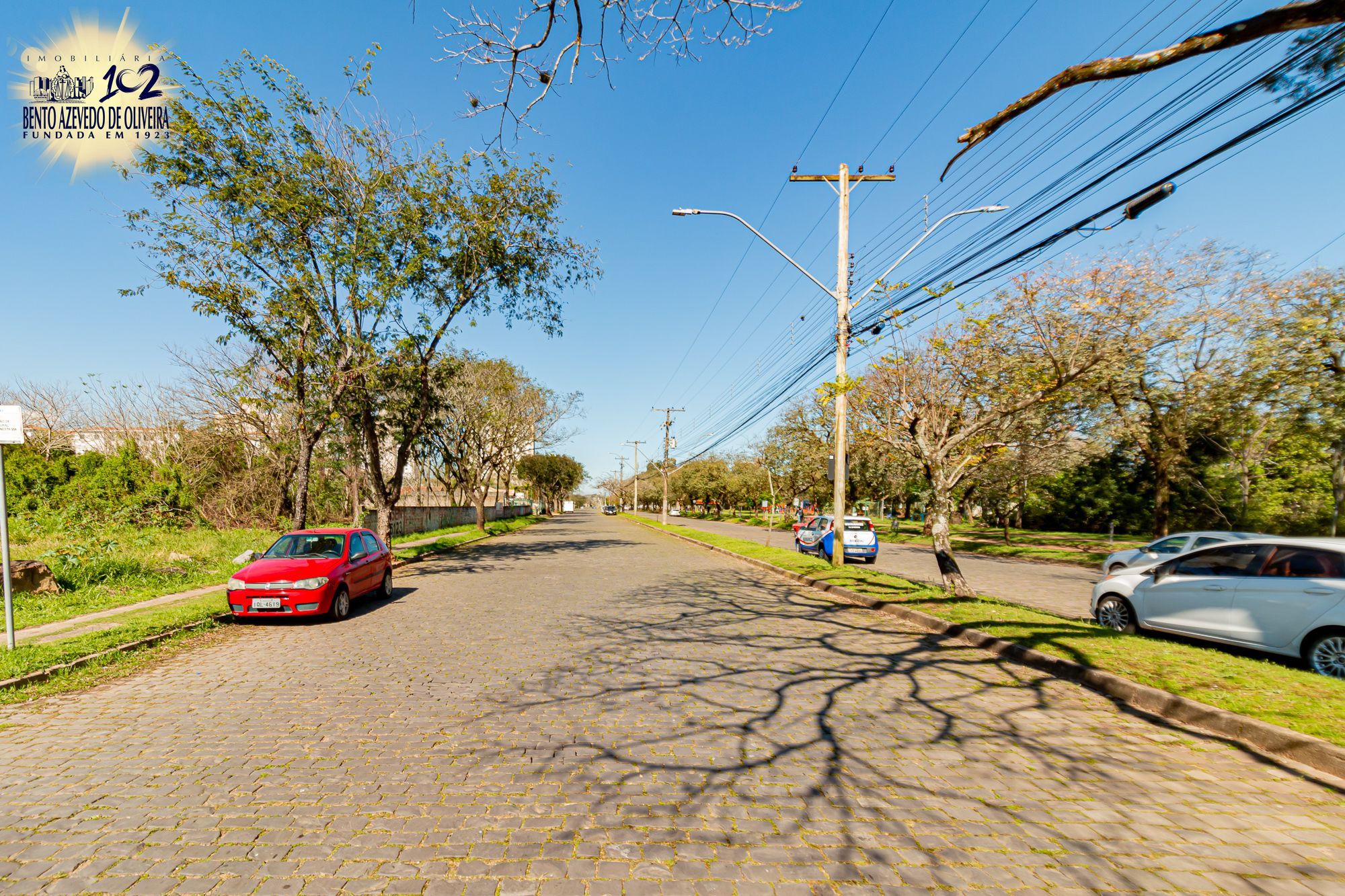 Terreno, 6150 m² - Foto 3