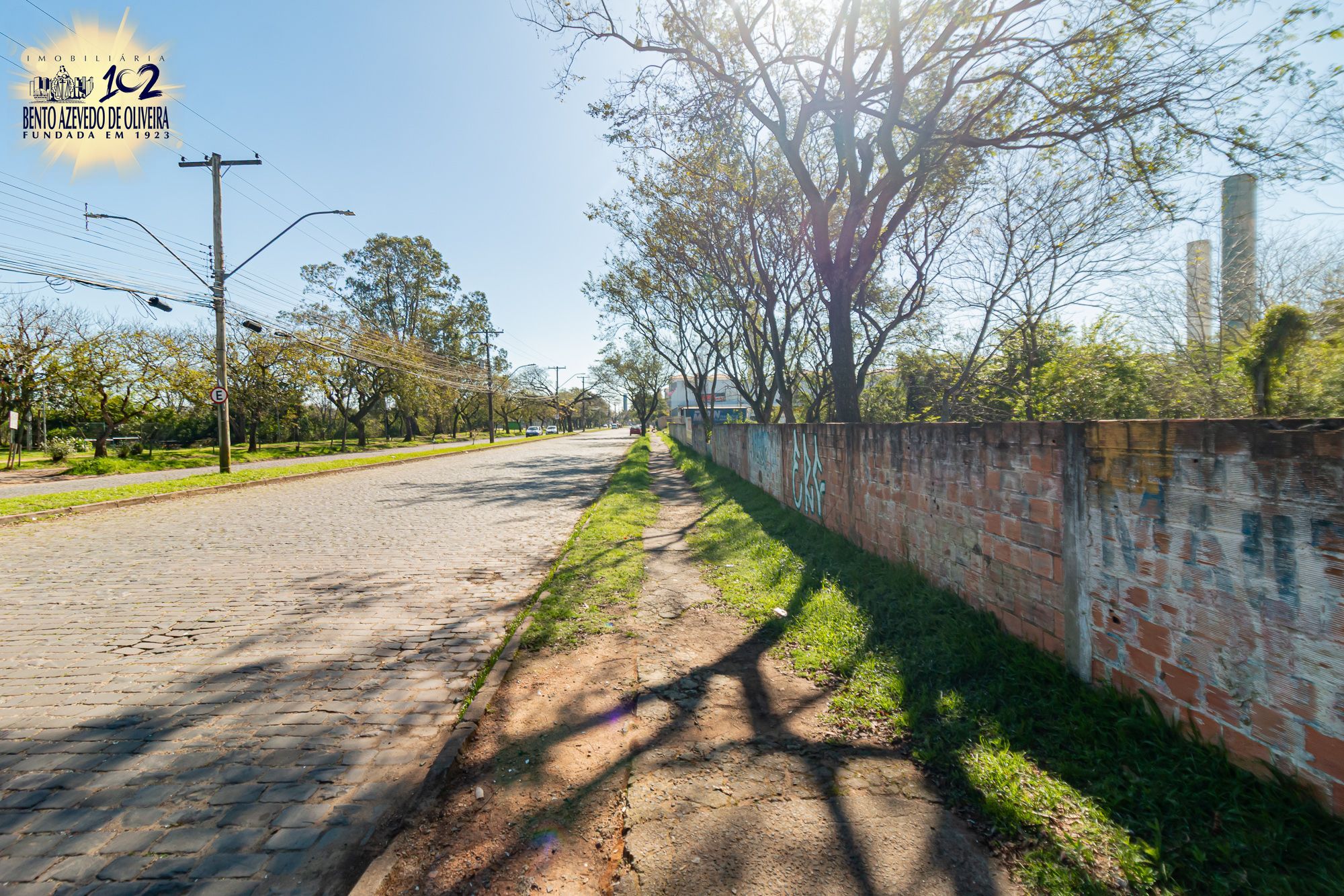 Terreno, 6150 m² - Foto 8