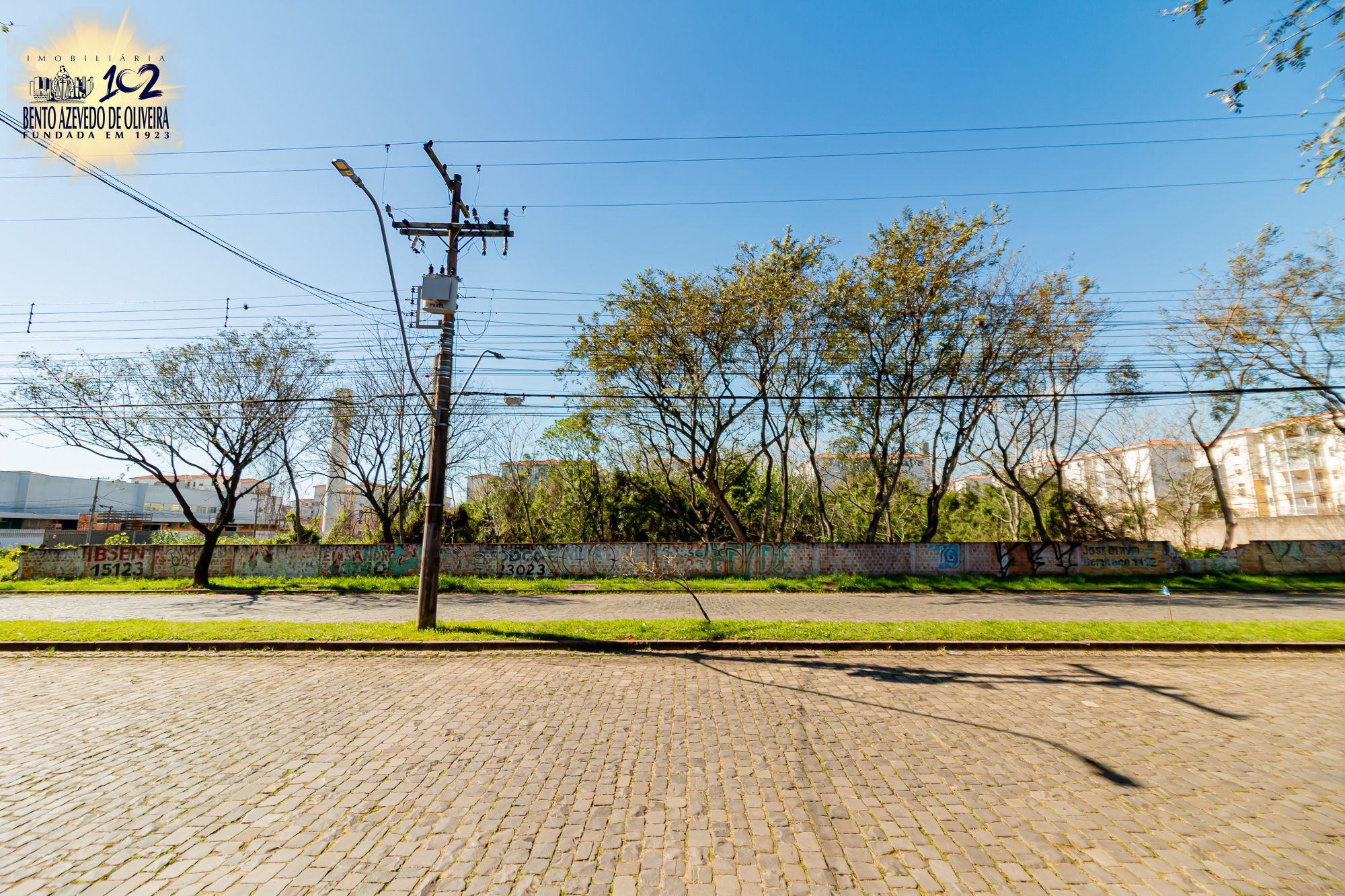 Terreno, 6150 m² - Foto 6