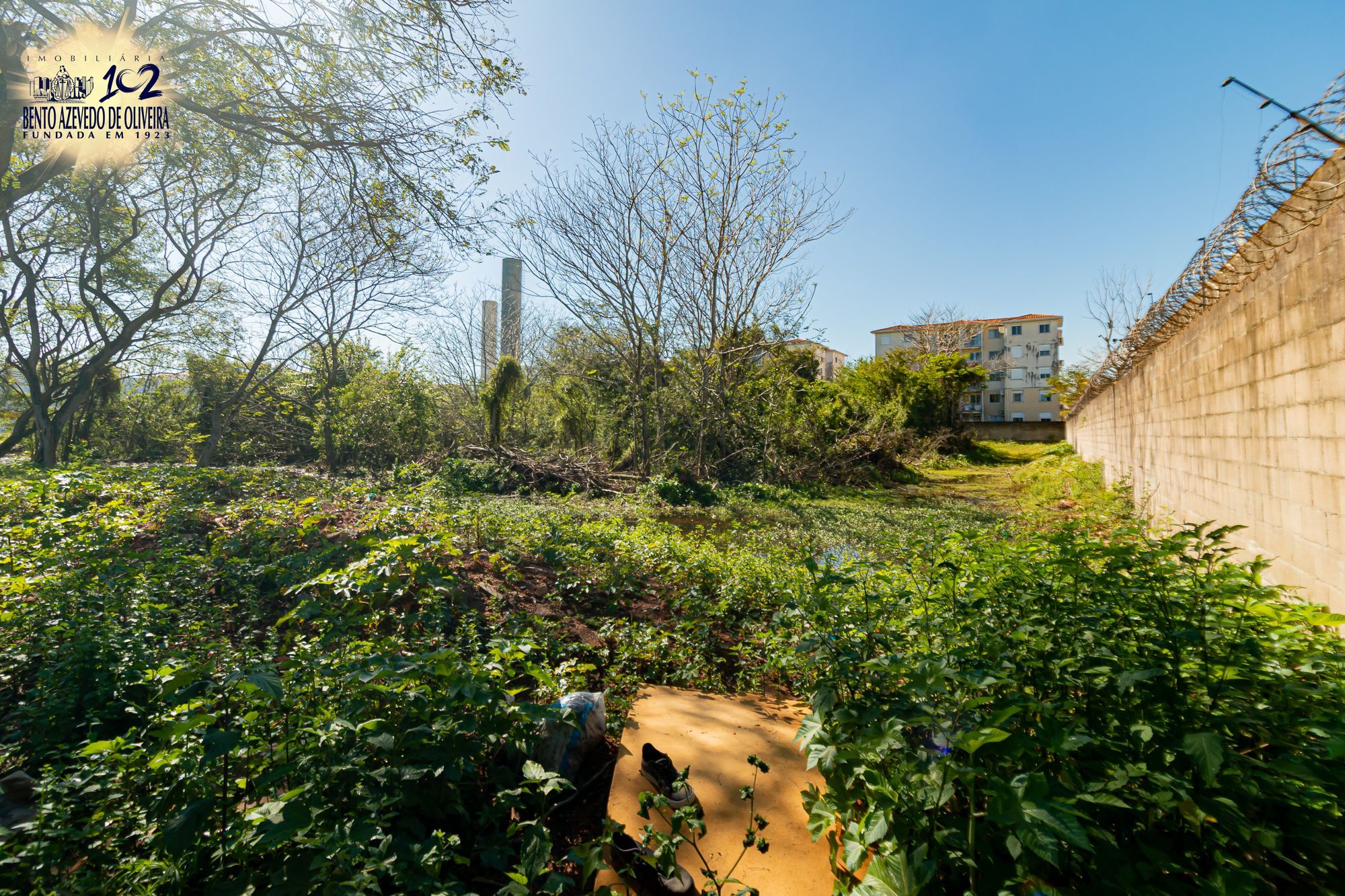 Terreno, 6150 m² - Foto 10