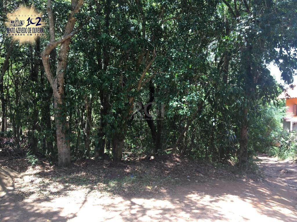 Terreno, 6750 m² - Foto 4