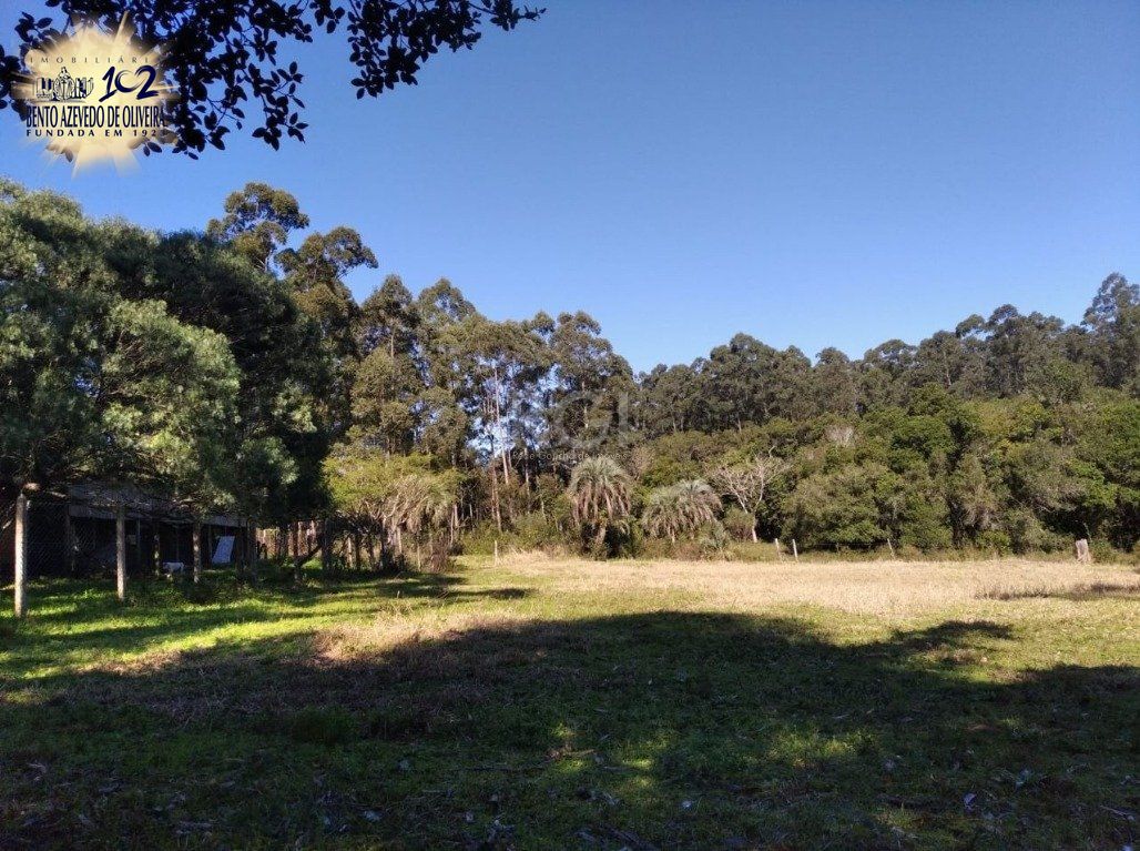 Terreno, 2500 m² - Foto 10