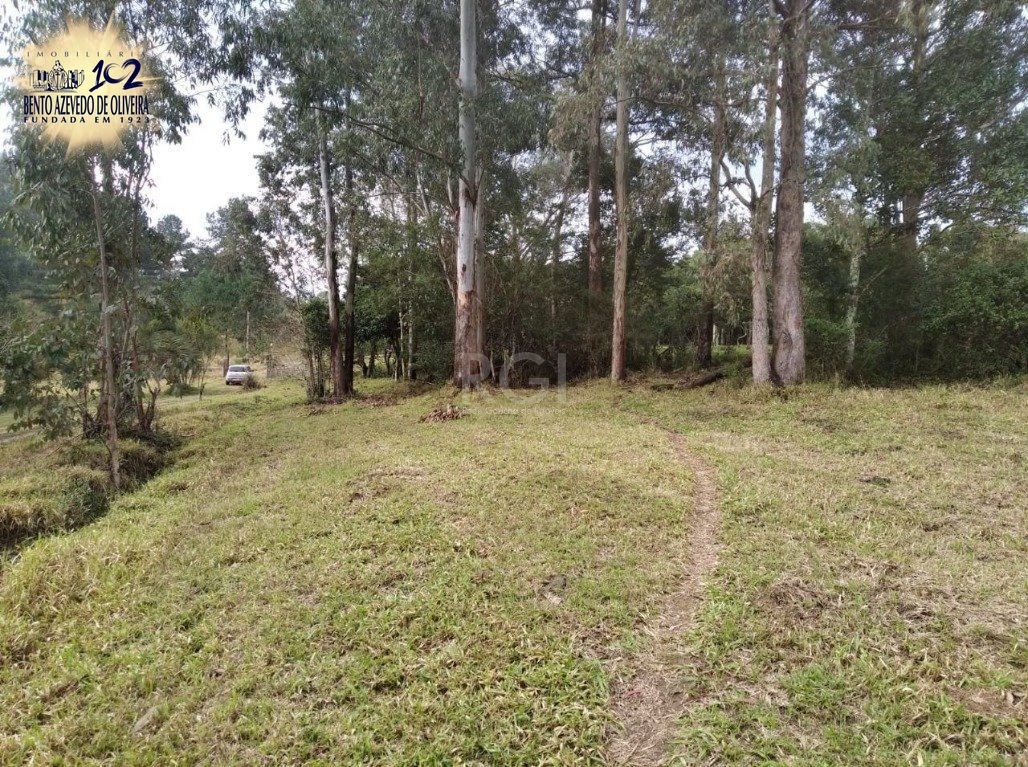 Terreno, 2500 m² - Foto 12