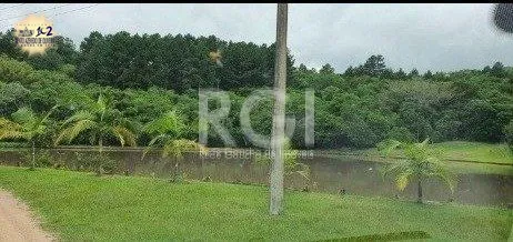 Terreno, 10000 m² - Foto 5