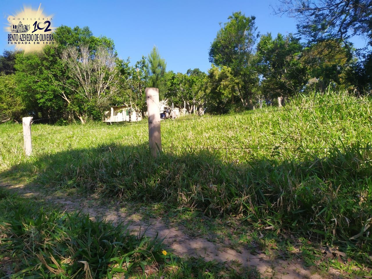Terreno, 2500 m² - Foto 3