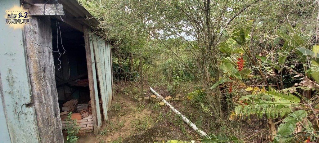 Terreno, 605 m² - Foto 10