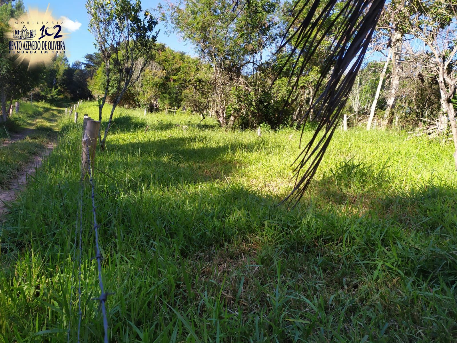 Terreno, 2500 m² - Foto 12