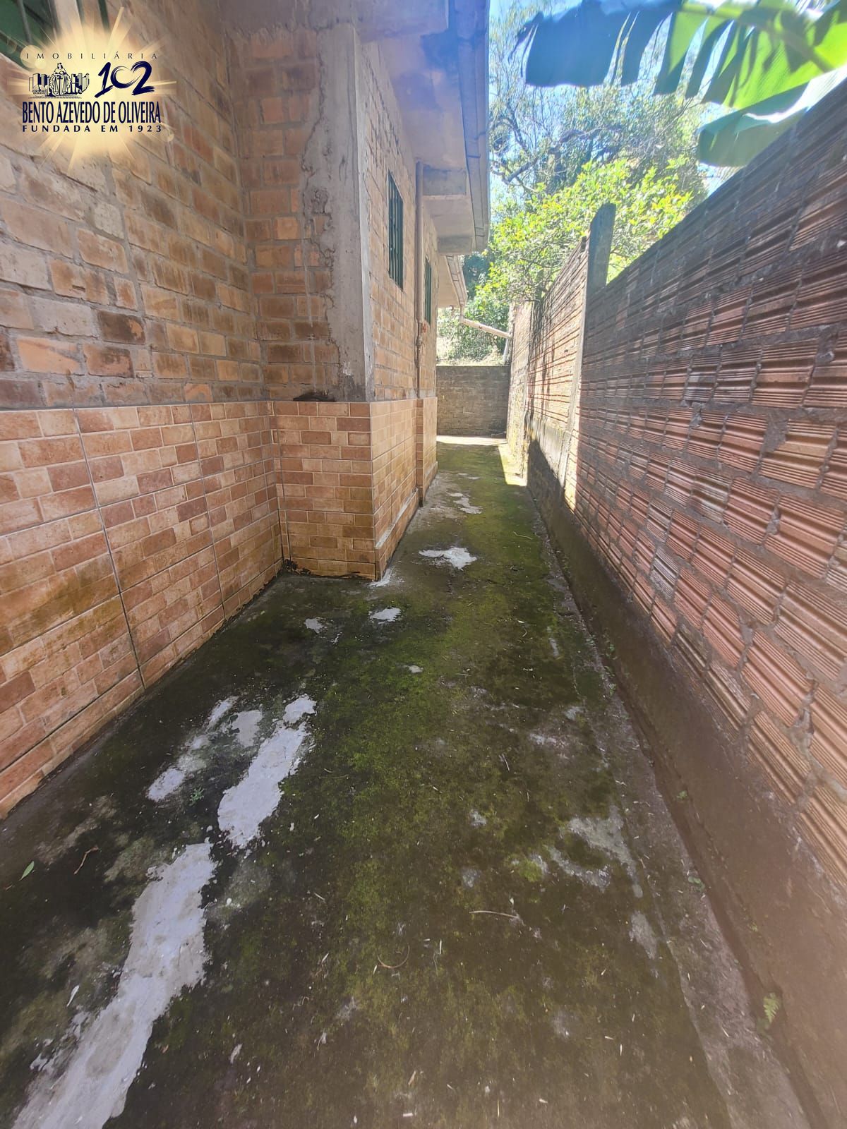Sítio, 3 quartos, 2071 m² - Foto 8