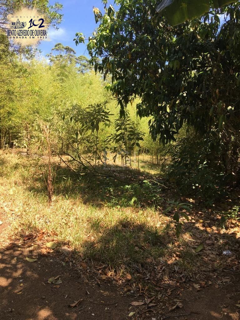 Terreno, 6750 m² - Foto 15