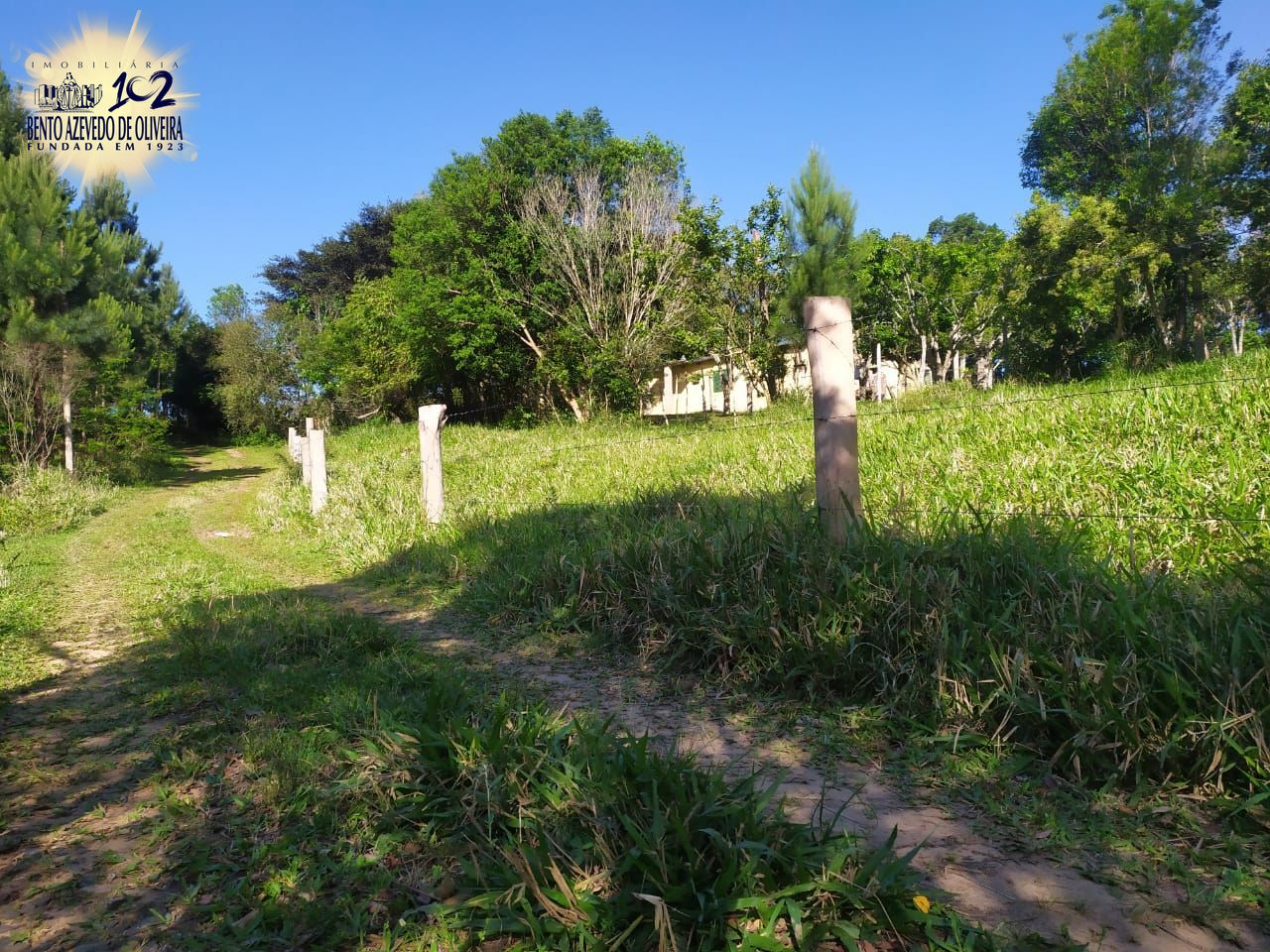 Terreno, 2500 m² - Foto 5