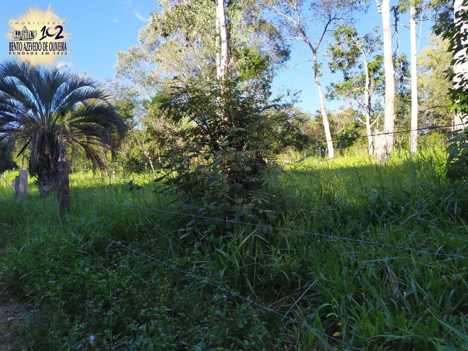 Terreno, 2500 m² - Foto 10