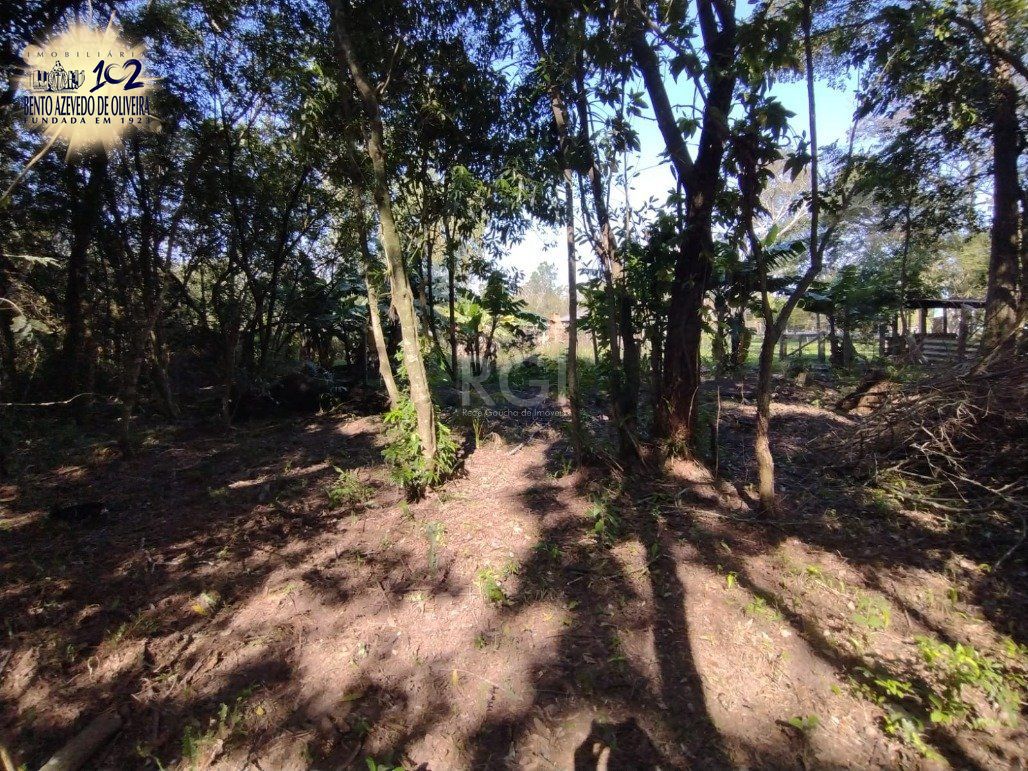 Chácara, 4 quartos, 6200 m² - Foto 31